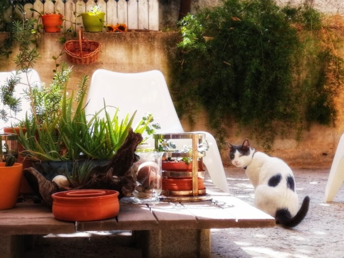 yoga-athens-shala06-1024×768